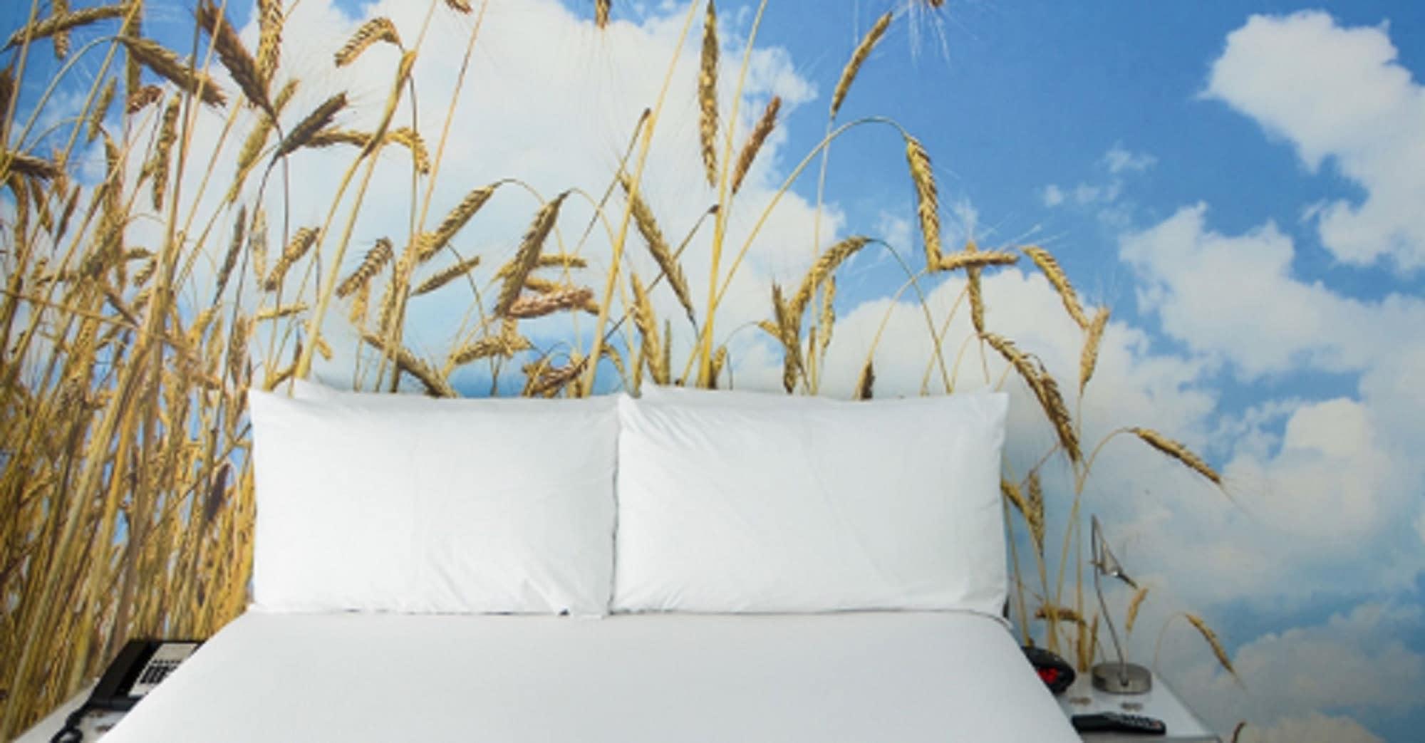 Penguin Hotel Miami Beach Ngoại thất bức ảnh