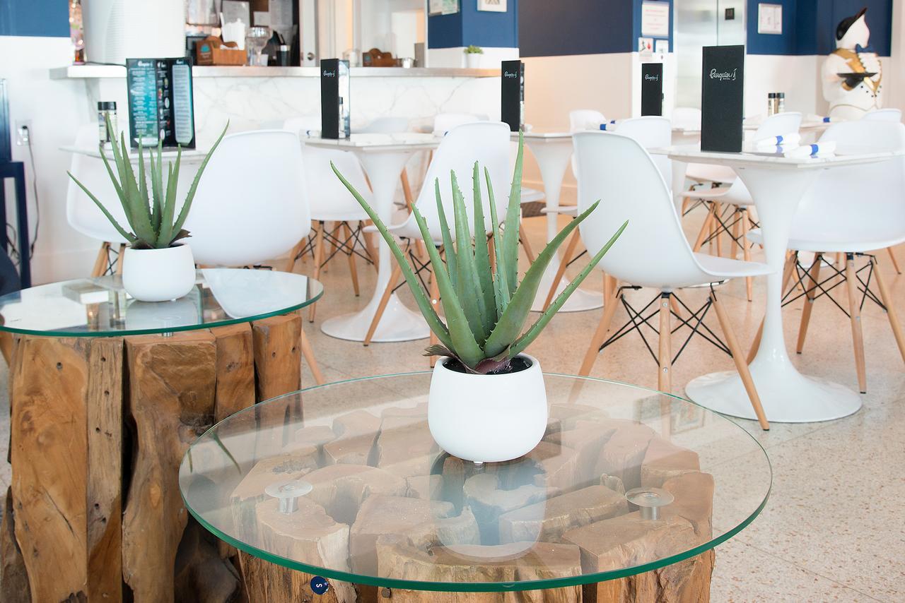 Penguin Hotel Miami Beach Ngoại thất bức ảnh